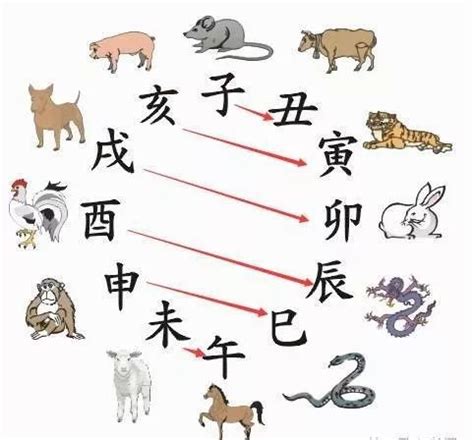 屬猴名字|属猴取名宜用字大全,属猴起名字用什么字最好